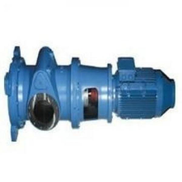 MFP100/2.2-2-0.75-10 Pompe hydraulique en stock #3 image